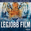 Pi 11 Oscar-jelölése (12)